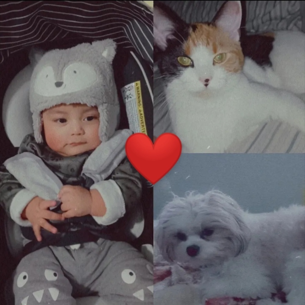 Meet your Posher, Ana